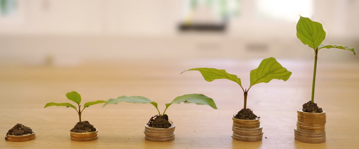 The Power of Compound Interest